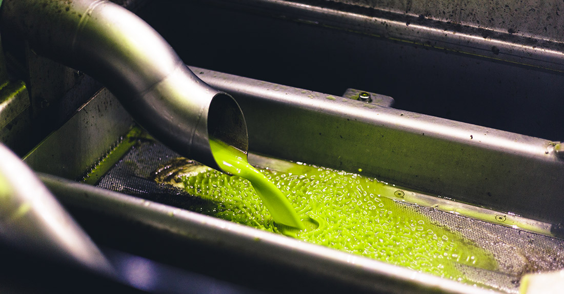 la spremitura delle olive per l'olio nuovo